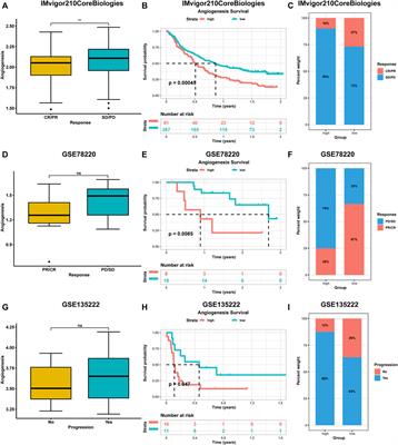 Association of Angiogenesis Gene Expression With Cancer Prognosis and Immunotherapy Efficacy